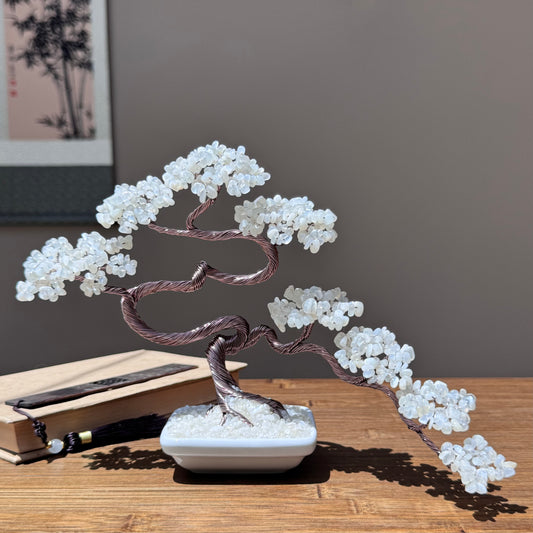Moonstone Bonsai tree