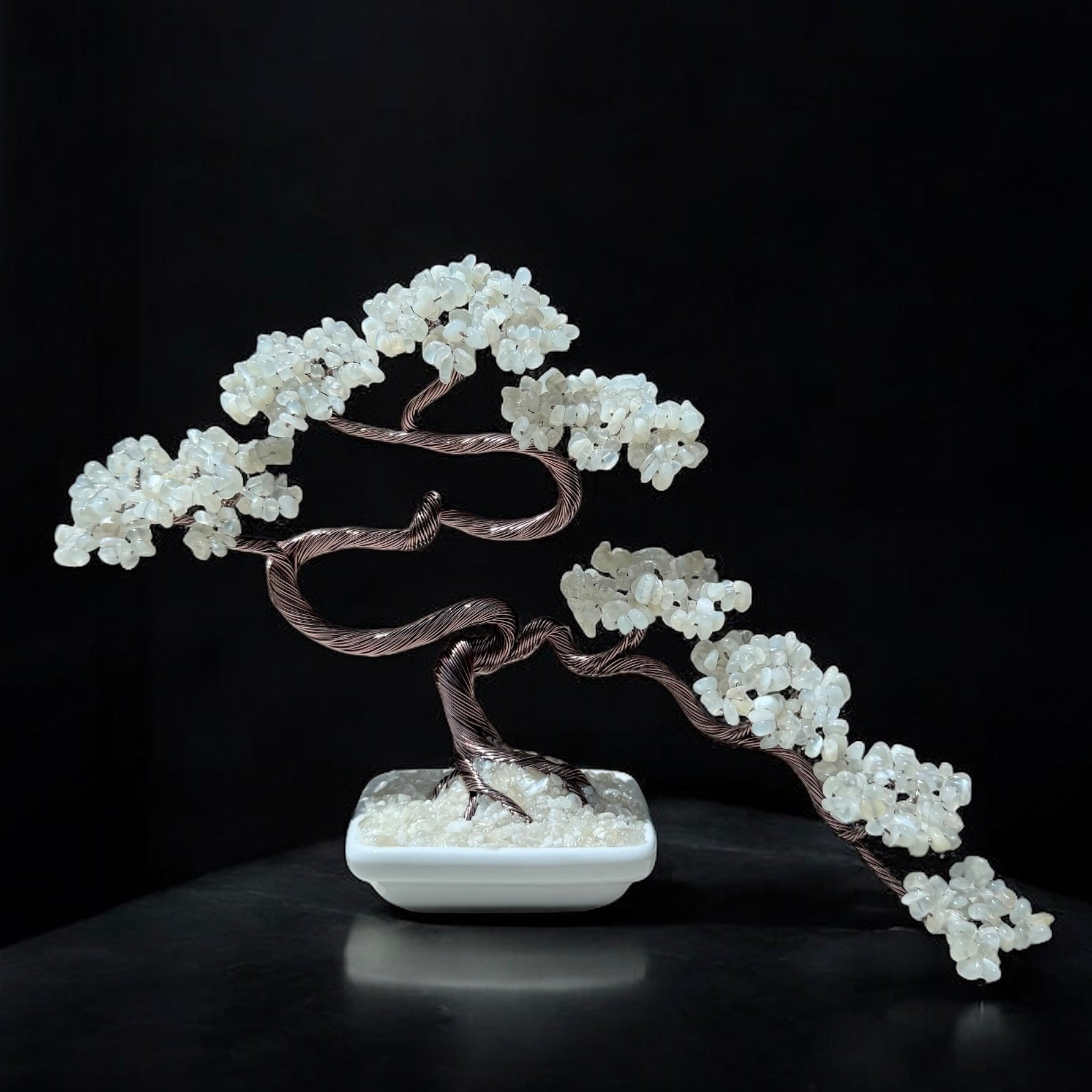 Tree of Life